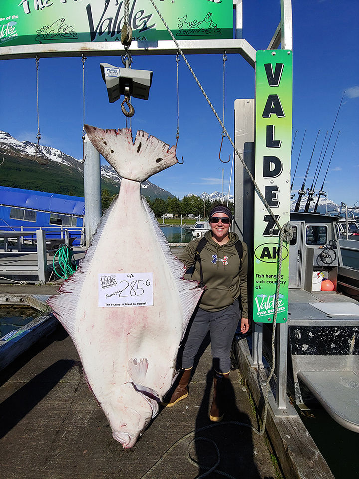 Halibut